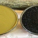 Licorice Products Licorice Powder Granule Root Liquid Paste Licorice DGL HGL IranLicorice
