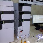 Licorice laboratory HPLC Licorice Factory Analysis Powder Blocks Granules Root Nuggets